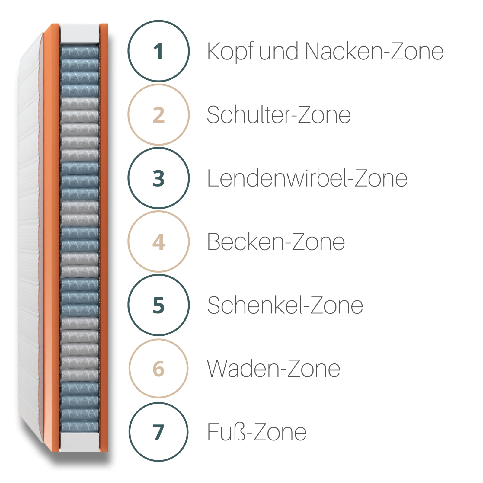 Bild 3 von 8