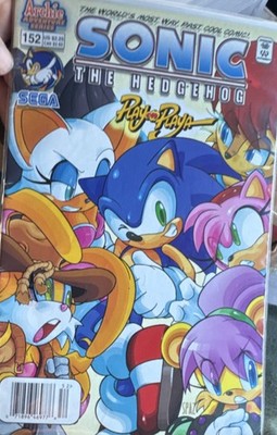 Archie Comics Sonic the Hedgehog #152 Play on Playa Rouge Amy Rose Spaz