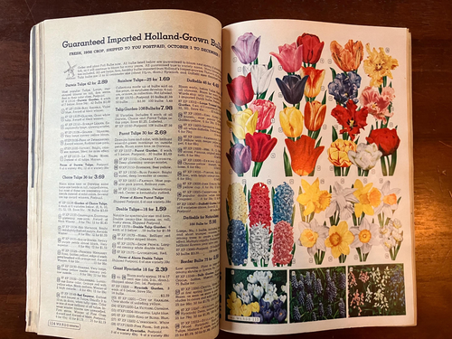 1956 Montgomery Wards Fall Sale Book Catalog Bicycles Clothing Sewing Home - Picture 2 of 8