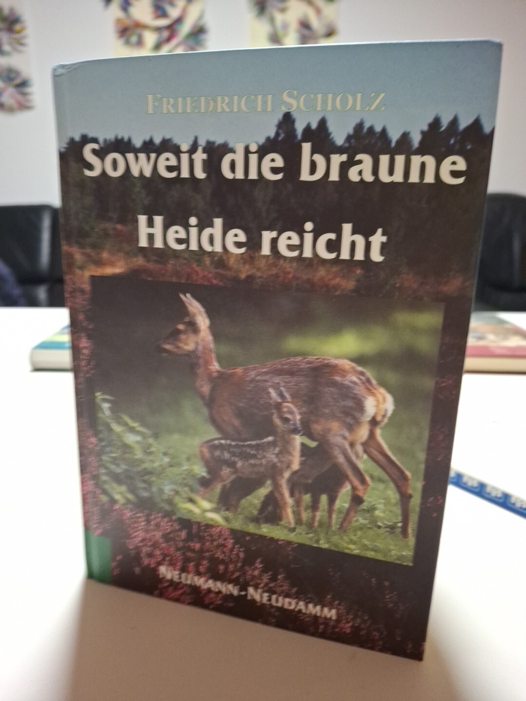 Bild 15 von 24