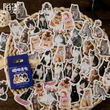 46pcs/box Cat Stickers Journal Planner Decals Collage DIY Album Scrapbooking