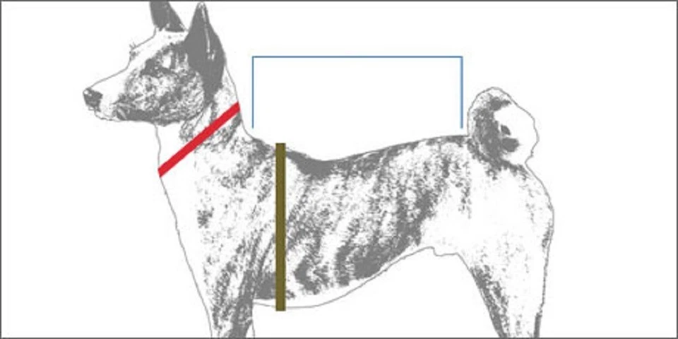 Suéter grueso tejido metálico para perro de Zack & Zoey 2 colores 5 tallas Foto 2 de 2