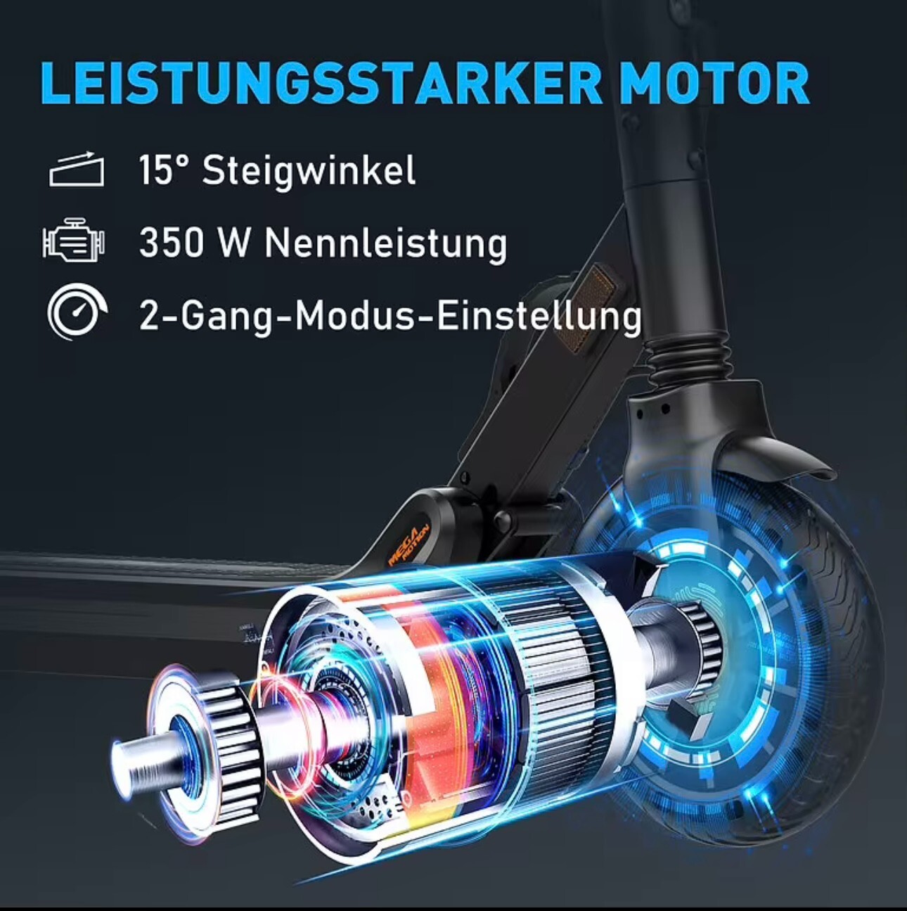 Bild 5 von 6