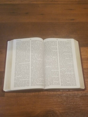 2003 Nelson Holy Bible King James Version Giant Print Letters KJV Brown SC - Foto 8 di 11
