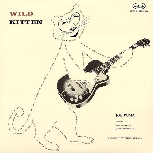 Joe Puma – Wild Kitten / Sundered Redords 180 Gram Vinyl New - Afbeelding 1 van 2