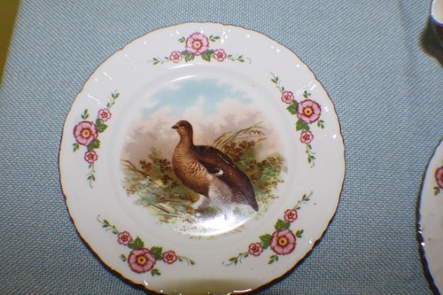 Servicio de comida de porcelana bosque salvaje caza motivo M&Z Austria Altrohlau * 6016 - Imagen 12 de 12