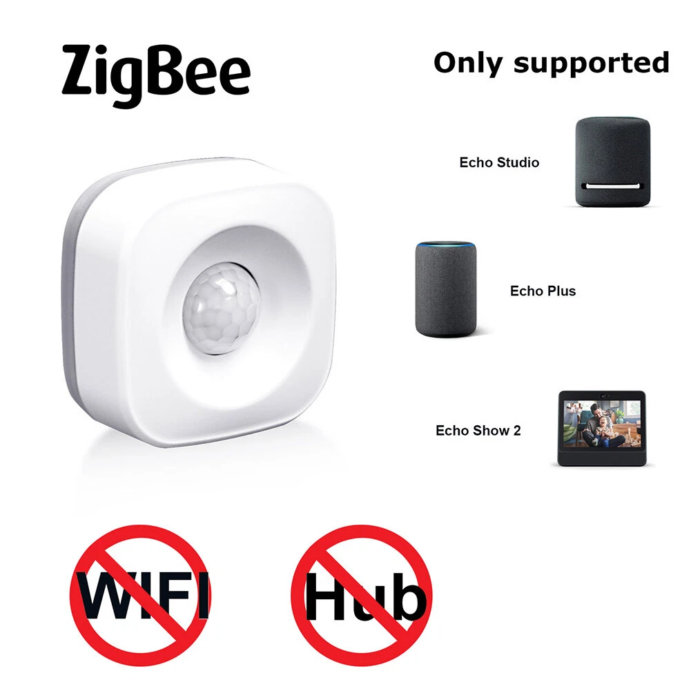 Echo plus best sale app