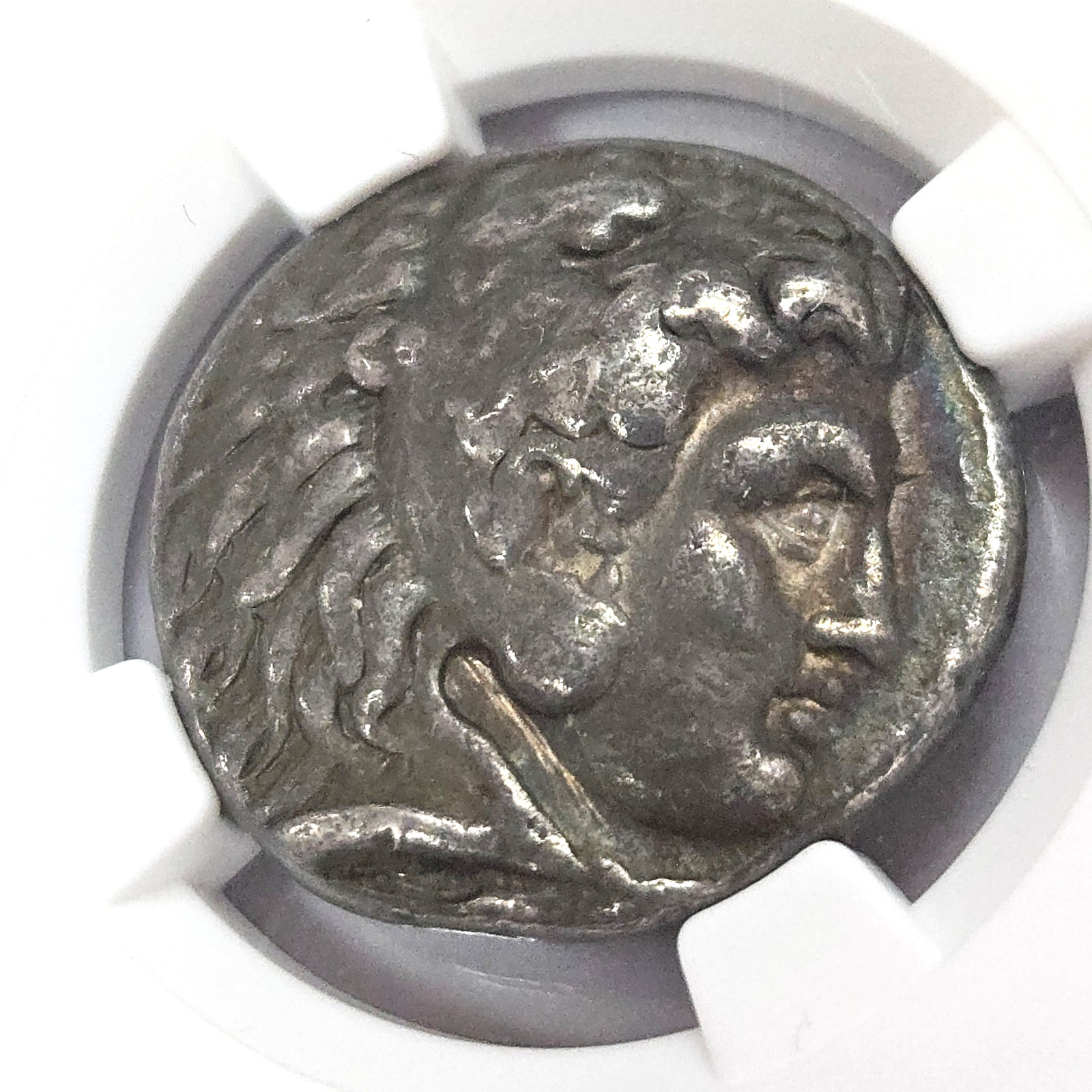 Alexander III 'The Great" Seleucus I AR Tetradrachm Ch F NGC Price 3742 [036PIB]