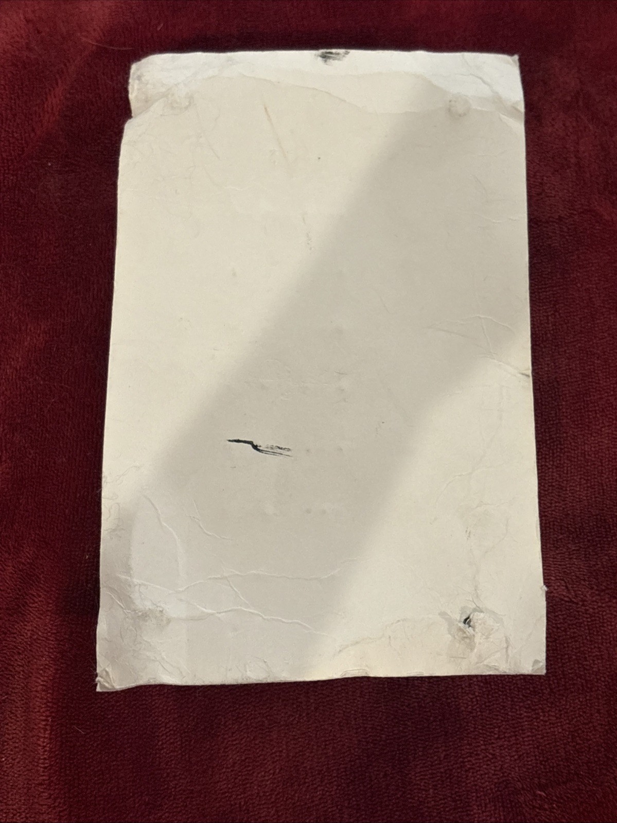 Foto 11 di 11