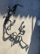 Honda OEM 1992 Civic Dx Hatchback Engine Wiring Harness Obd1 Map On Firewall