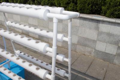 INTBUYING Hydroponic 36 Holes Plant Site Grow Kit Garden System