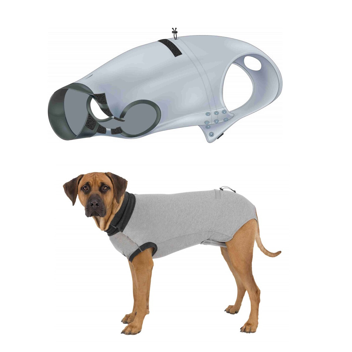hunde op body selber machen