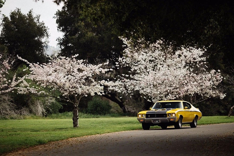 Larry Chen Photography