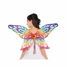 Butterfly Wings Angel Fairy Princess Rainbow Glitter Halloween Costume Dress Up