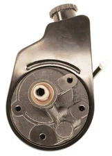 Power Steering Pump-WT Lares 14842