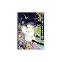 Used AMANO YOSHITAKA Art Works TAROT CARD 1991 Illustration Book book form JP