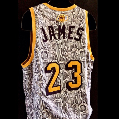 Los Angeles Lakers Lebron James 