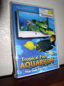 ebay tropical fish