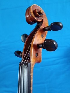 violino violino 4.4