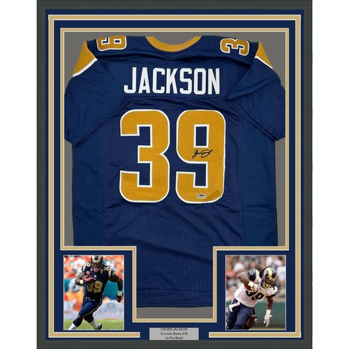 Steven Jackson's Career as a Running Back for the St Louis Rams and Atlanta Falcons