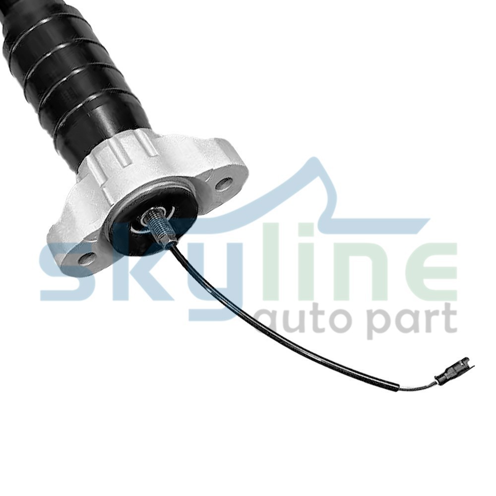 Rear Left&Right Air Shock Strut Assys For Maserati Levante M161 2017-2020 3.0L