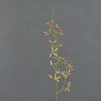 Artplants KüNstlicher Zweig Cattleya Orchidee Trassa, HellgrüN-Rot, 80Cm