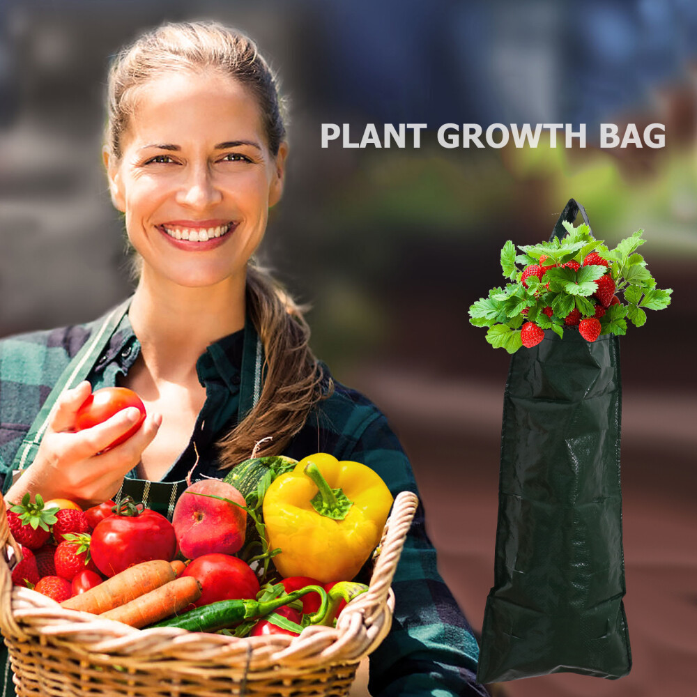 3 Pcs Grow Bag Plastic Vegetable Planting Bags Strawberry Hanging