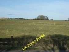 Photo 6x4 Grazing east of Todwick Off Goose Carr Lane. c2015