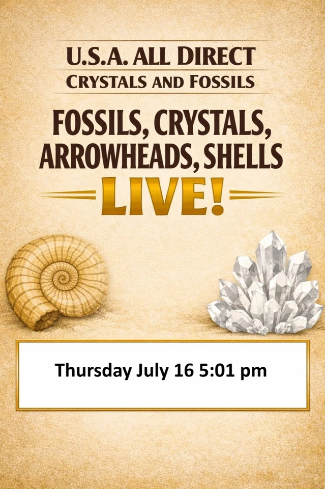 THE ROCK STOP - Crystals, Fossils, Minerals, Pet Wood