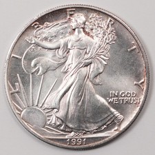 1991 American Silver Eagle - Mild Red Toning