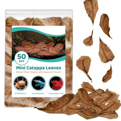 SunGrow 50 pcs Betta Fin Rot Treatment Catappa Indian 1 Count (Pack of 50)