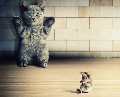 Lustige gerahmte Leinwandbilder Katze Maus Tiere Zuhause Küche