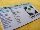 Bild 12 von 12