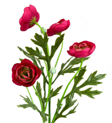 4 x Beauty Pink Ranunculus Silk Flowers, 21'' Spray, Artificial Stem Wedding Faux