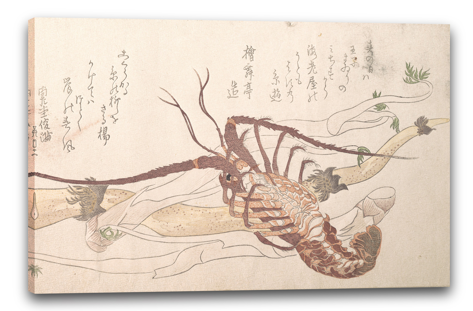 Lienzo/Marcos Kubo Shunman - Langosta y verduras