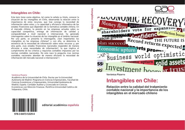 Intangibles En Chile: VeróNica Pizarro-image