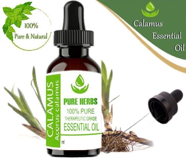 Pure Herbs Calamus 100% Puro & Naturale