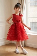 Red Tulle Overlay Easter Pagent Church Party Butterfly Dress Size 2T