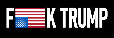 Anti Trump Upside Down US Flag Magnet Large 3x10 Bumper Sticker Size US