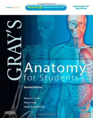 Gray's Anatomy for Students by Richard Drake | eBay