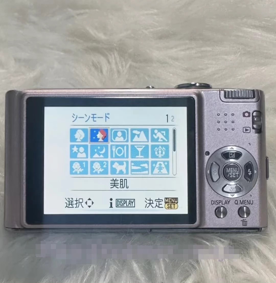 Panasonic LUMIX DMC-FX35 Digital Camera 10.0 MP 4x Optical Zoom