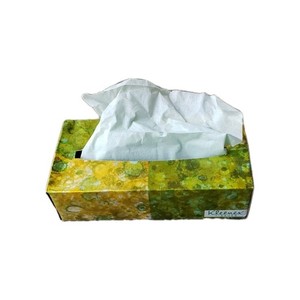 VTG 70s MCM Kleenex Green Facial Tissues Open Box Prop Susan B. Anthony READ