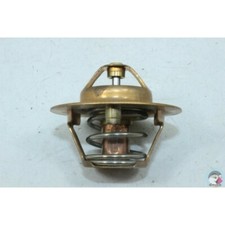 Thermostat Renault R19