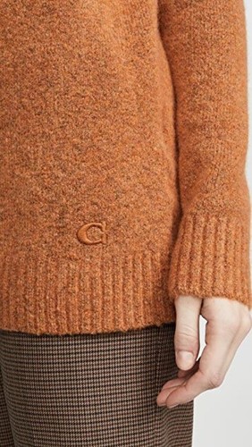 NWT Coach Frill Sleeve Turtleneck 