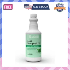 Nature's Sunshine Chlorophyll | Extra Strength Detox & Immunity Support 16 Fl Oz