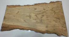Walnut BIG SLAB CUT 150year Old Tree Live Edge #235 AMAZING RARE COLORATION!