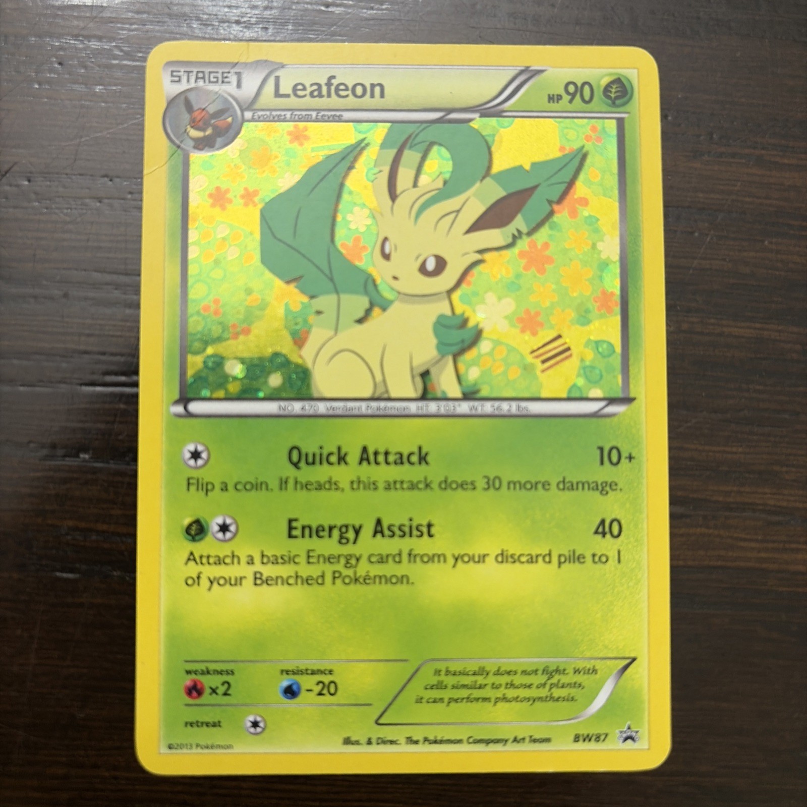 Pokemon TCG Leafeon BW87 Promo Card English 2013