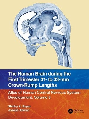 Joseph Altman S The Human Brain during the First Trimester 31- to  (Taschenbuch)