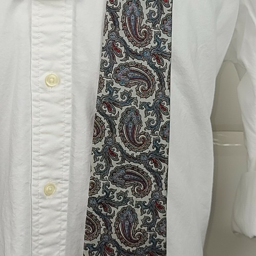 Hardy Aimes 100% Silk Necktie Multicolor Paisley Pattern Tie - Picture 2 of 5