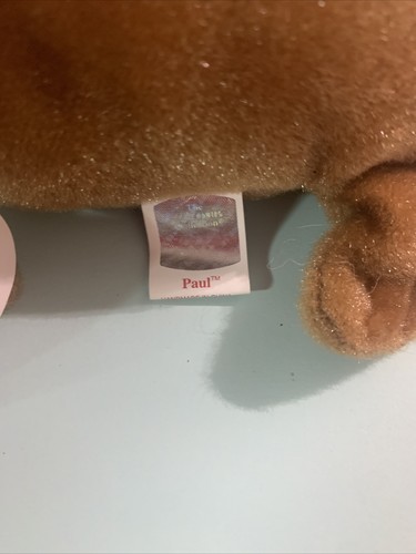 RARE WITH ERRORS! Ty Beanie Baby Retired 1999 "Paul the Walrus" - Picture 11 of 13